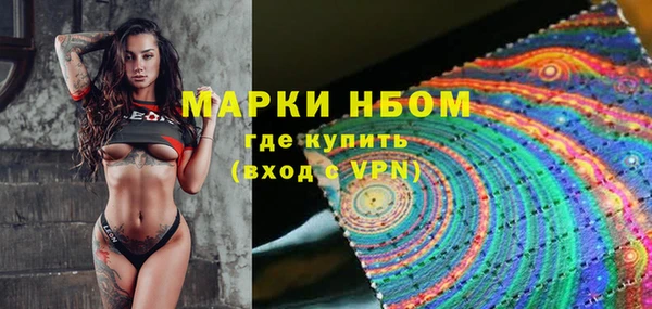 ГАЛЛЮЦИНОГЕННЫЕ ГРИБЫ Арсеньев