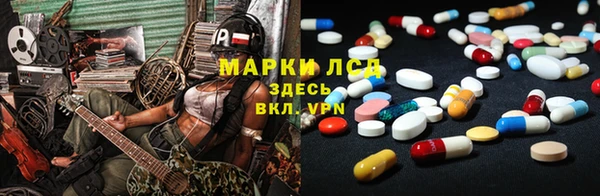 ГАЛЛЮЦИНОГЕННЫЕ ГРИБЫ Арсеньев