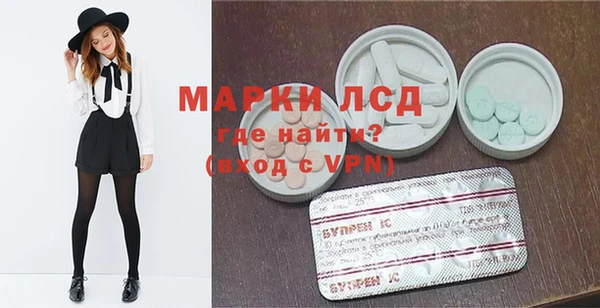 ГАЛЛЮЦИНОГЕННЫЕ ГРИБЫ Арсеньев