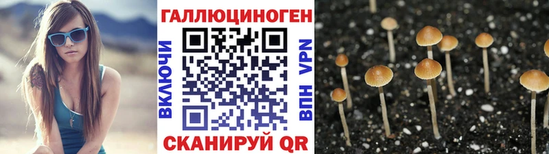 OMG ссылка  Пудож  Псилоцибиновые грибы Magic Shrooms 