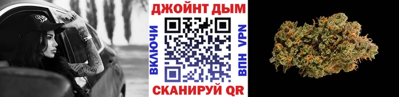 Шишки марихуана гибрид  закладки  Пудож 